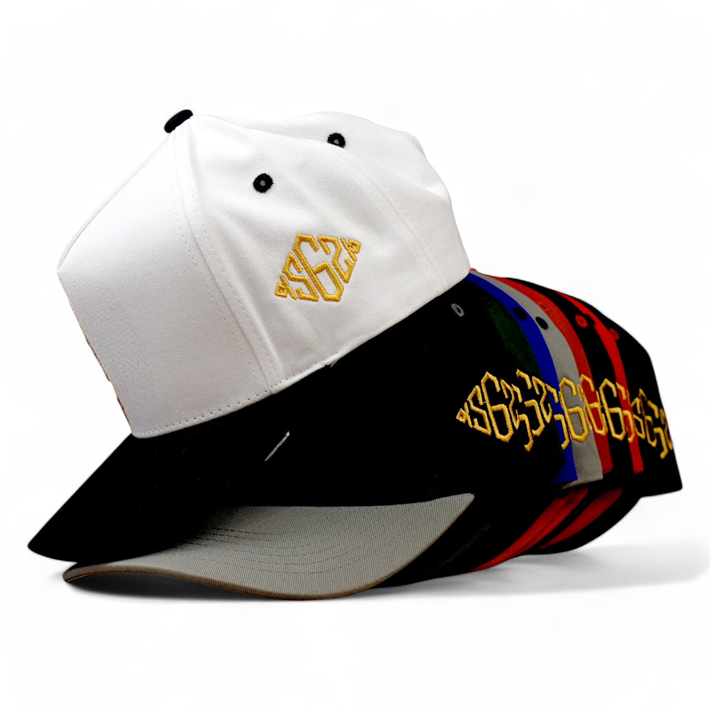 COA Dawgs Cream Black