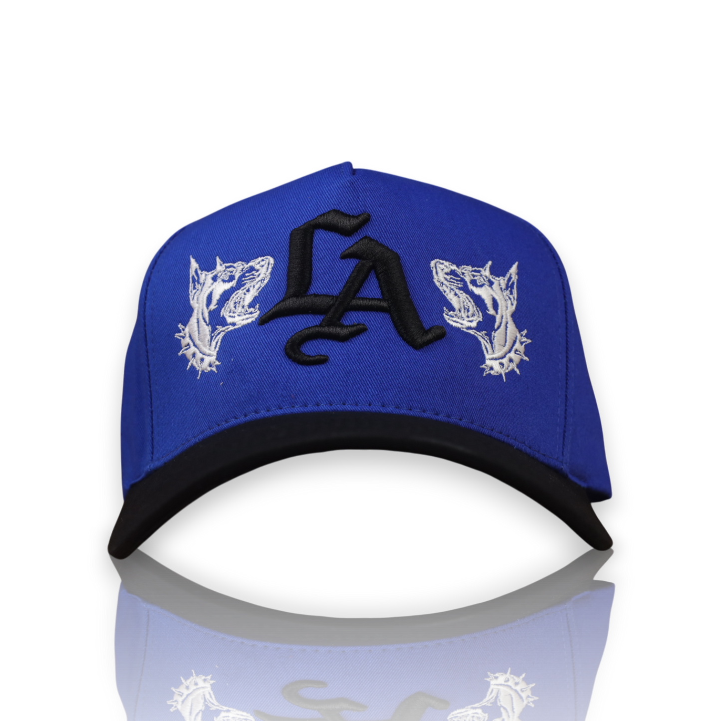 COA Dawgs Royal Black